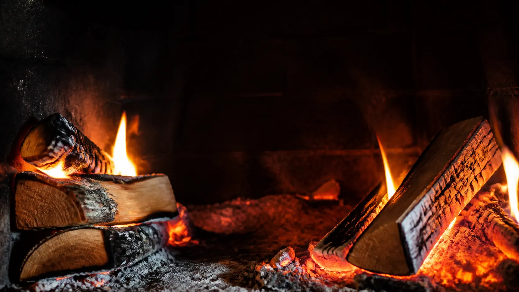 Firewood logs burning in a warm wood fire